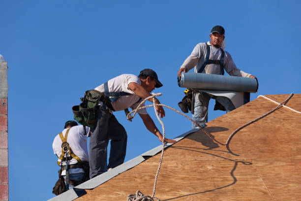 Best Roof Gutter Cleaning  in Hoffman Estates, IL