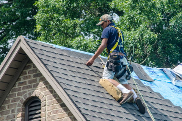 Best Flat Roof Repair Services  in Hoffman Estates, IL